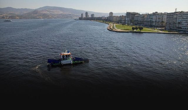 Temiz körfez için yeni formül: Uzmanlar midye ve Deniz hıyarını öneriyor