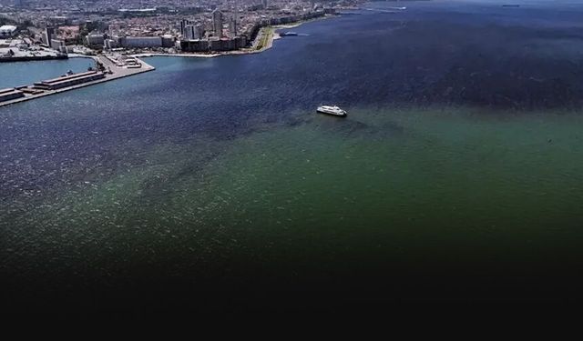 Sağlıklı Körfez için kritik toplantı... Hükümet politikaları nedeniyle kirleniyor!