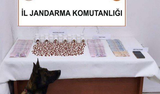 Muğla'da uyuşturucuya geçit yok: 1 haftada binlerce hap ele geçirildi!