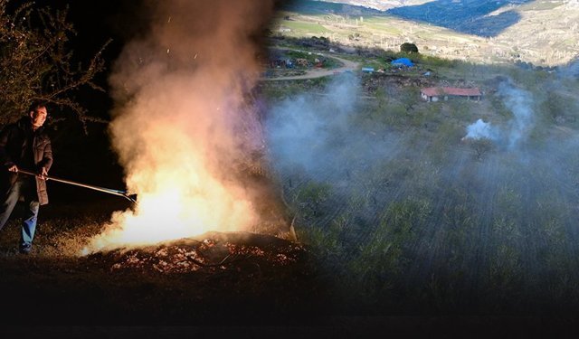 Üreticilerden ‘zirai don' nöbeti... Ağaçları kurtarmak için ateş yaktılar!