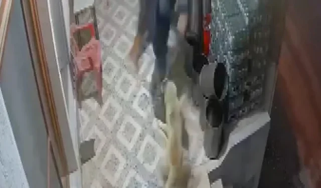 Köpek saldırısında parmağı koptu: Doktorlar yerine dikemedi!