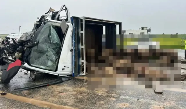 Koyun yüklü kamyonet ile otomobil çarpıştı: 2 kişi öldü