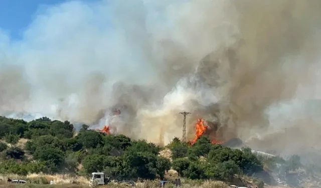 Çanakkale'de bozuk ormanda yangın