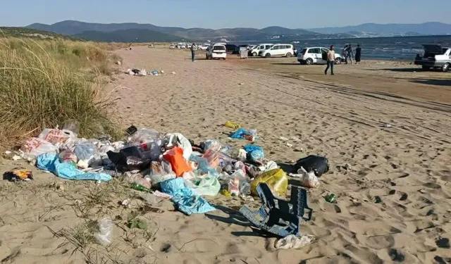 'Deniz kaplumbağalarının yuvalama alanı kıyı kumullar tehlike altında'