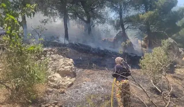Kahramanmaraş’ta orman yangını