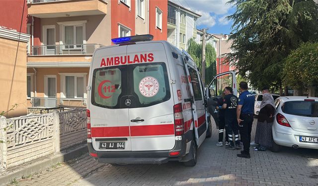 Dağdan topladıkları mantarı yiyen dede ve torun hastanelik oldu