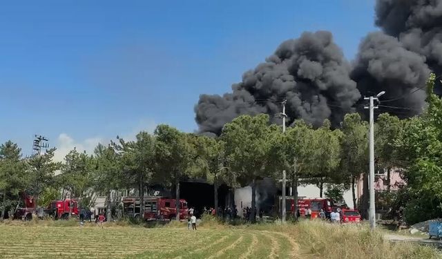 Denizli'de kauçuk fabrikasında yangın