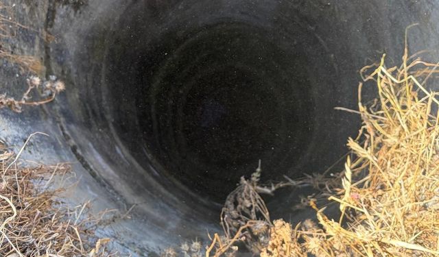 İzmir'de 20 metre derinliğindeki kuyuya düştü: Yaralı kurtarıldı!