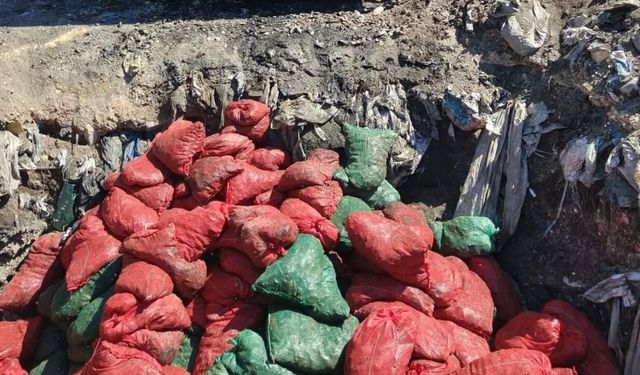 Soma'da bozuk 4 ton midye imha edildi