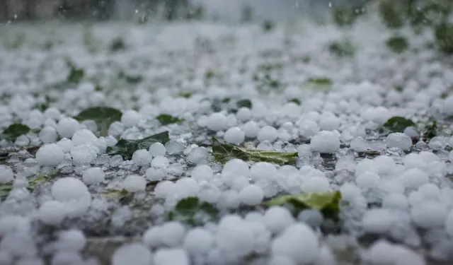 Dolu zararının tespiti için sahada inceleme