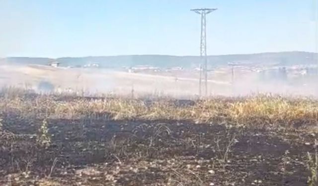 Hasat vakti çıkan yangın tarlayı küle çevirdi!