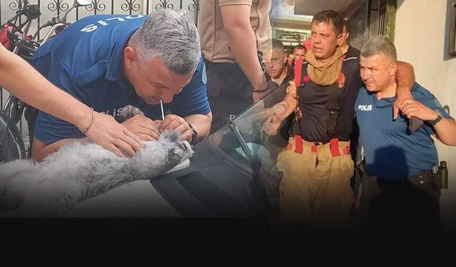 5 katlı binada yangın dehşeti! 3 itfaiye eri yaralandı, 4 kedi öldü