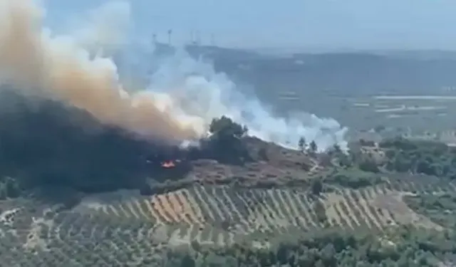 Manisa'da orman yangını çıktı