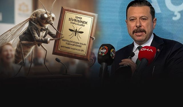 AK Partili Kaya'dan Büyükşehir'e: Sivrisinekler teşekkür plaketi verecek!