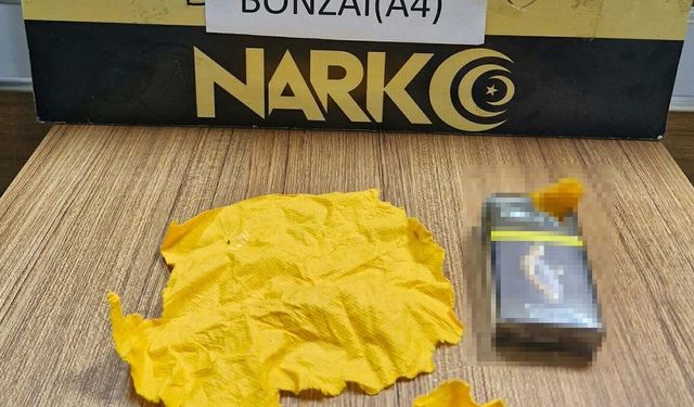 Manisa'da binlerce içimlik bonzai ele geçirildi: 6 kişi tutuklandı!