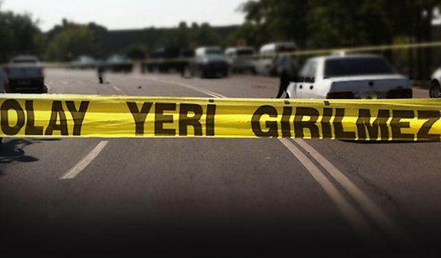 Önce TIR ardından otomobil çarptı: Feci şekilde can verdi!