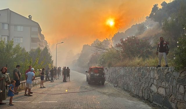 Aydın'da zeytinlik ve makilik alanda yangın