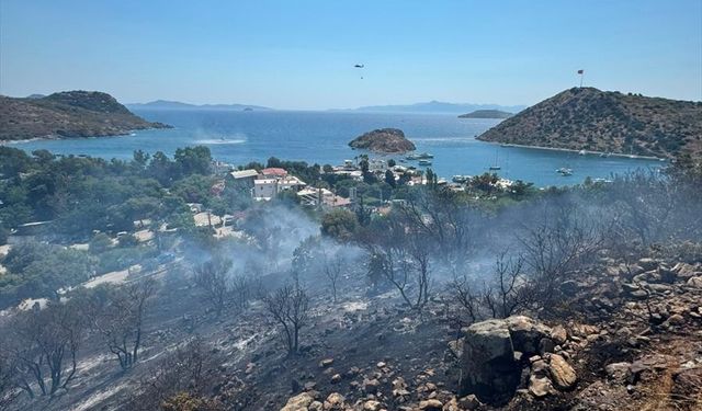 Bodrum'da makilik ve otluk alanda çıkan yangın söndürüldü
