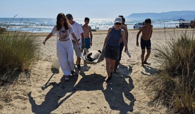 İzmir ve Aydın'da 3 caretta caretta sahilde ölü bulundu