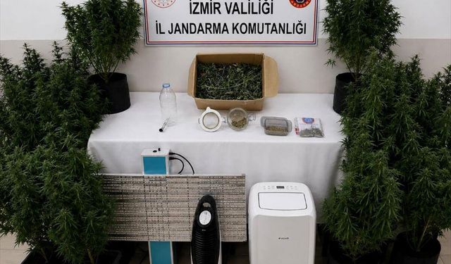 İzmir'de hükümlünün yatak odasında uyuşturucu serası bulundu