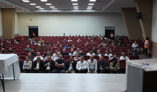 Altay'da yönetimi 93 kişi seçecek