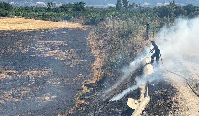 Aydın'da 3 günde 176 yangına müdahale edildi