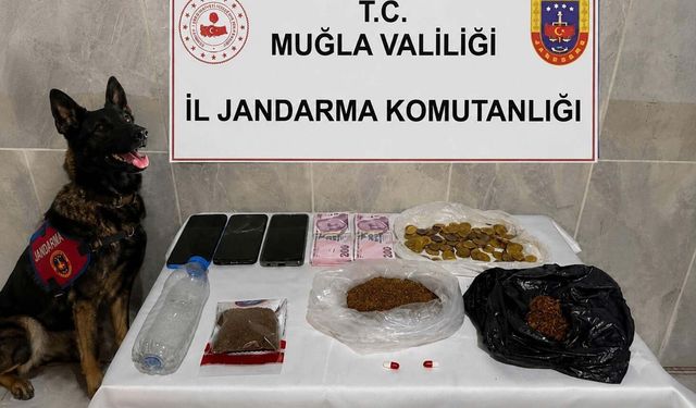 Evinde 188 gram bonzai ile yakalandı: Zehir taciri tutuklandı!