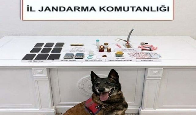 Muğla'da 'zehir' baskını: 5 kişi tutuklandı!