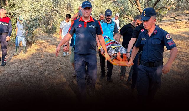 Aydın'da kaybolan 80 yaşındaki kadın, sağ olarak bulundu