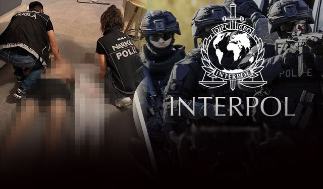 Hem İran hem Türk vatandaşı: Interpol'ün aradığı kişiyi MİT yakaladı