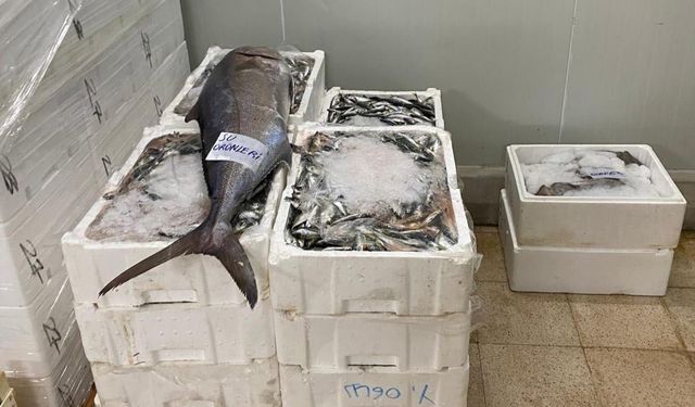 İzmir’de kaçak av operasyonu: 241 kilogram su ürününe el konuldu!
