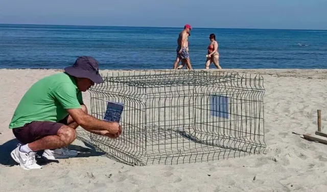 Kuşadası'nda ikinci caretta caretta yuvası da tespit edildi