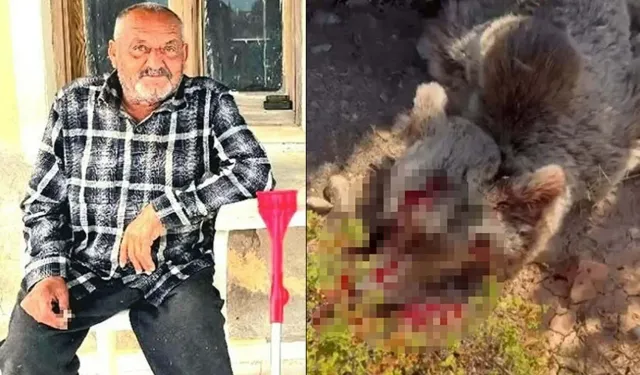 Uzmandan yaban hayvanları uyarısı: Ölümcül riskleri var!