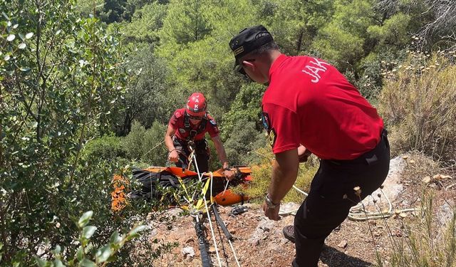 Muğla'da bir kişi ormanlık alanda ölü bulundu!