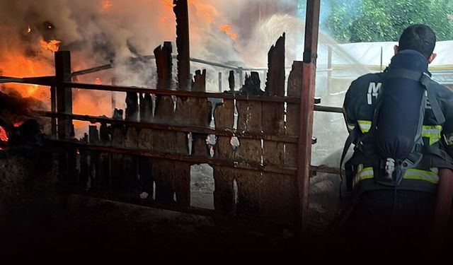 Ahır ve saman deposu yandı: 4 büyükbaş telef oldu!