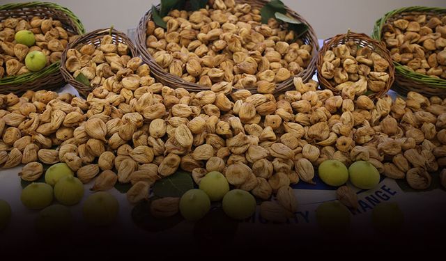 Aydın'da sezonun ilk kuru inciri 850 liradan satıldı