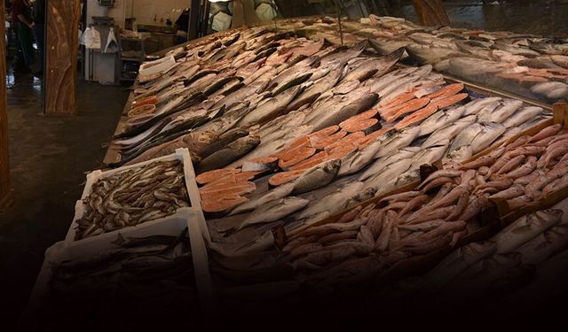 Denizin padişahı olacak dedi, müjdeyi verdi: 50 TL'den satılacak!