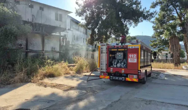 Bodrum'da koyda bulunan konteynerde çıkan yangın söndürüldü