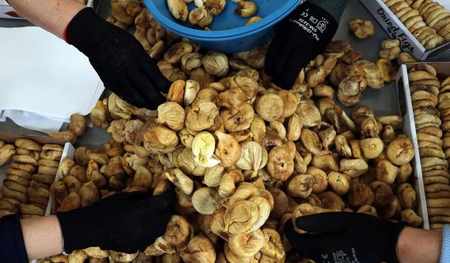 Kuru incirde sevindiren gelişme: Rekolte 90 bin tonu aşacak!