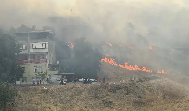 Marmaris'teki orman yangını faciası ikinci gününde!