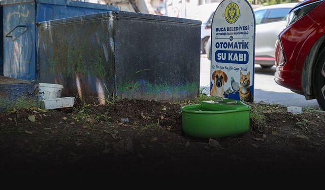 Buca Belediyesi'nden yaz sıcaklarına karşı sokak hayvanlarına su desteği