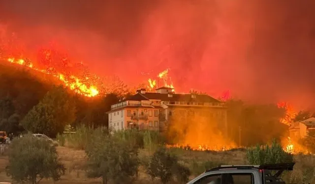 97 orman yangınına soruşturma