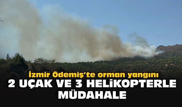 İzmir Ödemiş’te orman yangını: 2 uçak ve 3 helikopterle müdahale