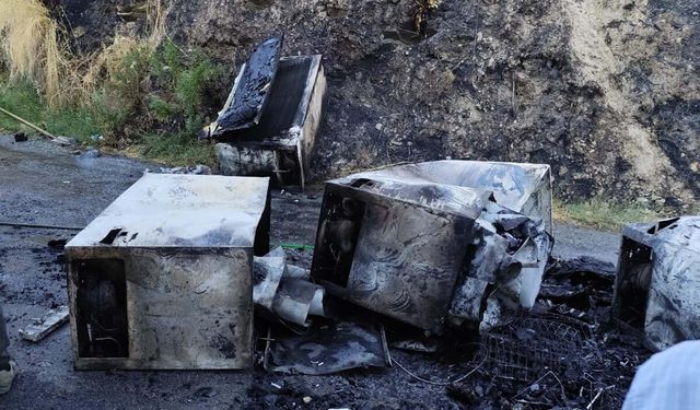 Buzdolabı yüklü kamyonet alev alev yandı: Makilik alana sıçradı!