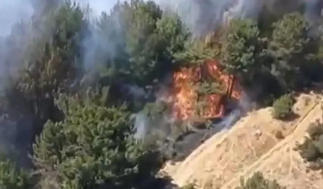 Balıkesir'de orman yangını... Ekipler müdahale ediyor