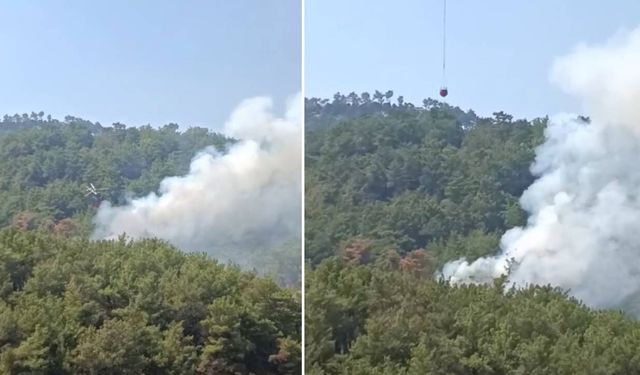 Adana'da orman yangını: Ekipler müdahale ediyor