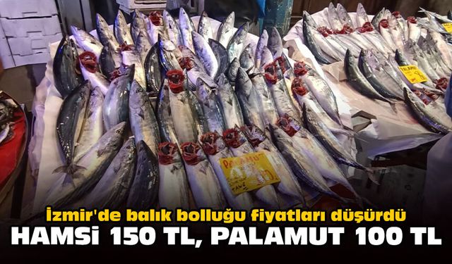 İzmir'de balık bolluğu fiyatları düşürdü: Hamsi 150 TL, palamut 100 TL