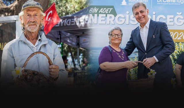 Karaburun'da üreticilere 300 bin nergis soğanı desteği