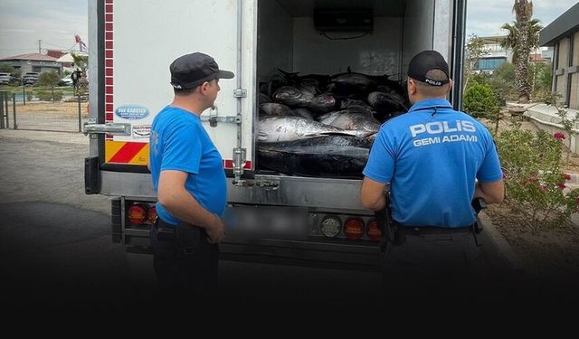 Güzelbahçe’de kaçak av operasyonu: 3 ton orkinos ele geçirildi