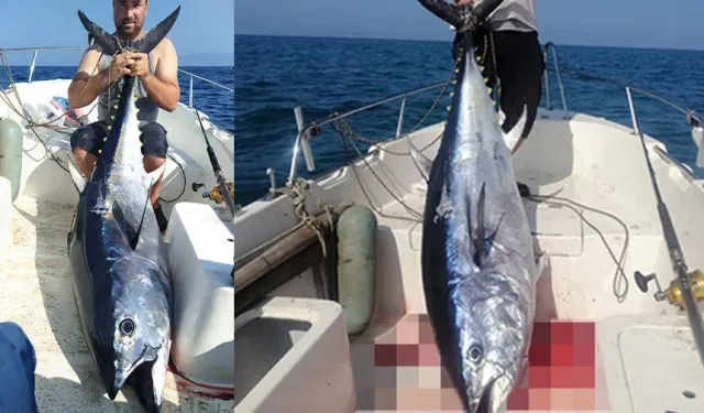 Üç saatlik mücadele sonunda tekneye çıkardılar: Tam 260 kilogram!